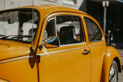 Coccinelle jaune vintage — puzzle de 300 pièces