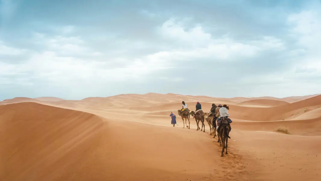 Caravan Through Dunes — 150-piece jigsaw puzzle