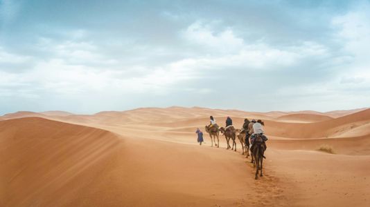 Caravan Through Dunes — 150-piece jigsaw puzzle