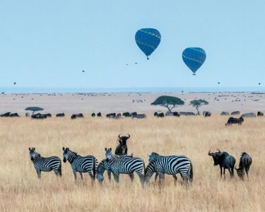 Serengeti Skies — 300-piece jigsaw puzzle