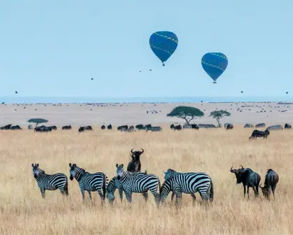 Serengeti Skies — 300-piece jigsaw puzzle