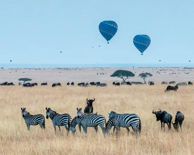 Serengeti Skies — 300-piece jigsaw puzzle