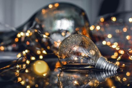 Rustic Light Bulb — 100-piece jigsaw puzzle