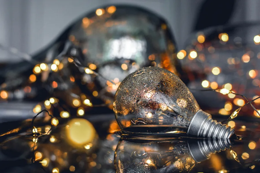 Rustic Light Bulb — 100-piece jigsaw puzzle