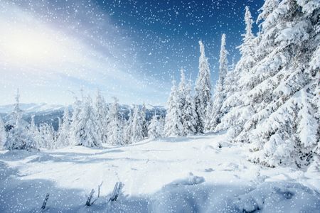 Winter Wonderland — 400-piece jigsaw puzzle
