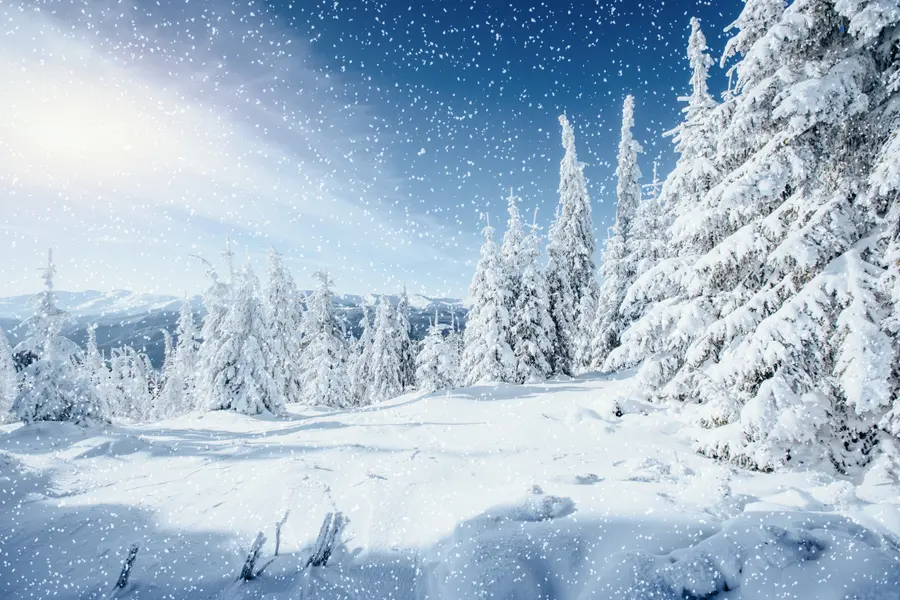Winter Wonderland — 400-piece jigsaw puzzle