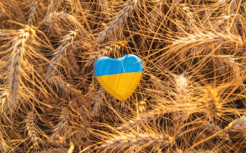 Heart in Wheat Field — 150-piece jigsaw puzzle