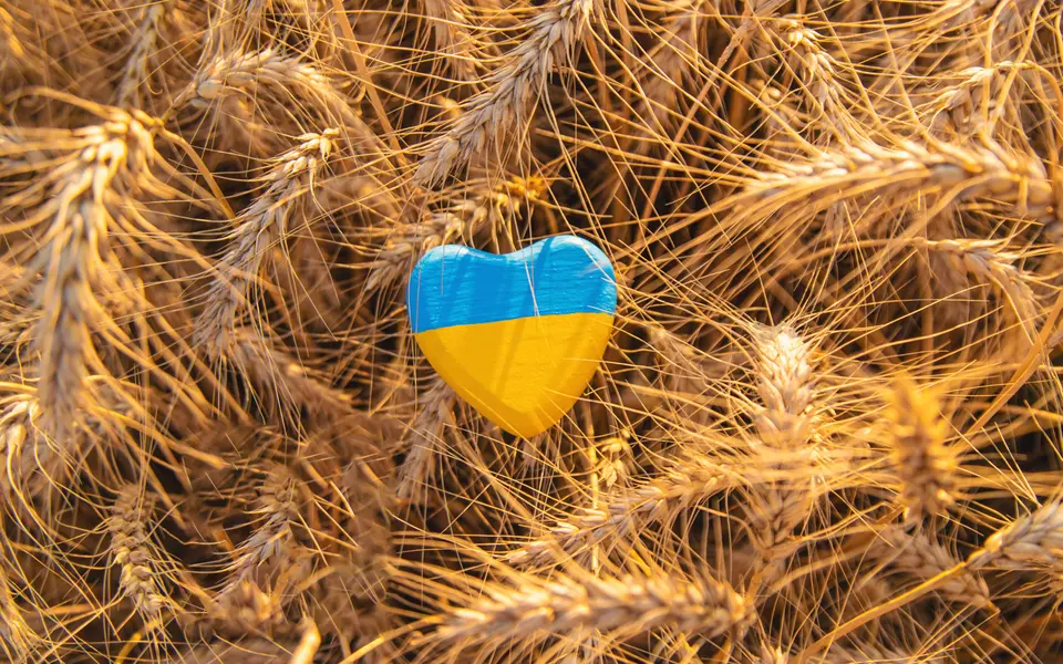 Heart in Wheat Field — 150-piece jigsaw puzzle