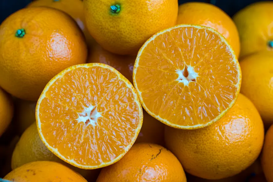 Vibrant Orange Slices — 64-piece jigsaw puzzle