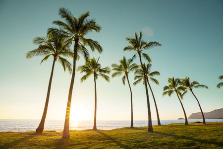Tropical Sunrise Serenity — 200-piece jigsaw puzzle
