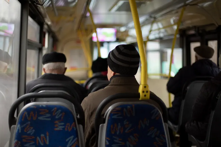Quiet Bus Ride — 300-piece jigsaw puzzle