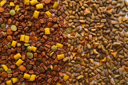 Variety in Pet Kibble — 300-piece jigsaw puzzle