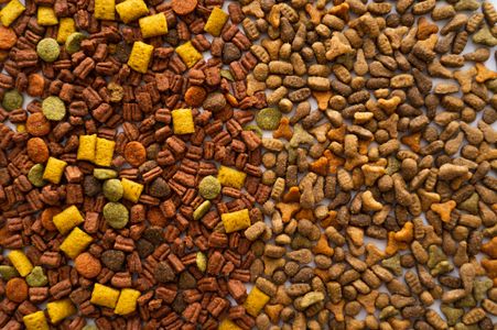 Variety in Pet Kibble — 300-piece jigsaw puzzle