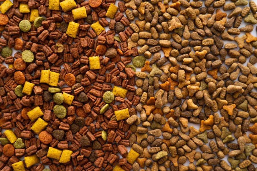 Variety in Pet Kibble — 300-piece jigsaw puzzle