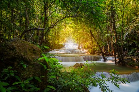 Enchanted Forest Falls — 300-piece jigsaw puzzle