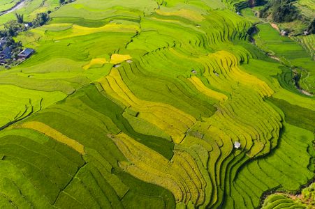 Verdant Terraced Fields — 150-piece jigsaw puzzle
