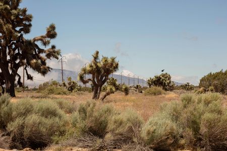 Desert Serenity — 400-piece jigsaw puzzle