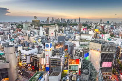 Tokyo Urban Landscape — 100-piece jigsaw puzzle