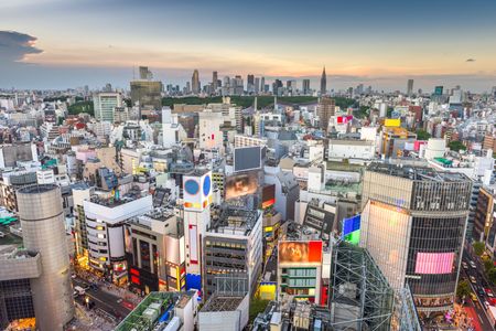 Tokyo Urban Landscape — 100-piece jigsaw puzzle