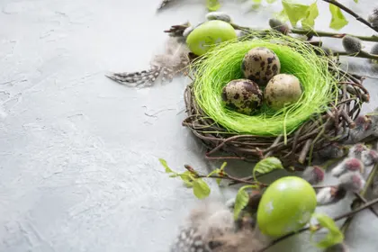 Spring Nest Detail — 200-piece jigsaw puzzle