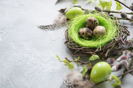 Spring Nest Detail — 200-piece jigsaw puzzle