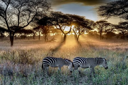 Sunrise in Serengeti — 300-piece jigsaw puzzle