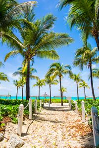 Tropical Beach Paradise — 300-piece jigsaw puzzle