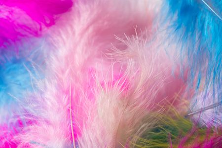 Colorful Feather Dream — 300-piece jigsaw puzzle