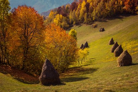 Autumn Harvest Scene — 200-piece jigsaw puzzle