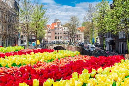 Tulip Splendor by Canal — 400-piece jigsaw puzzle