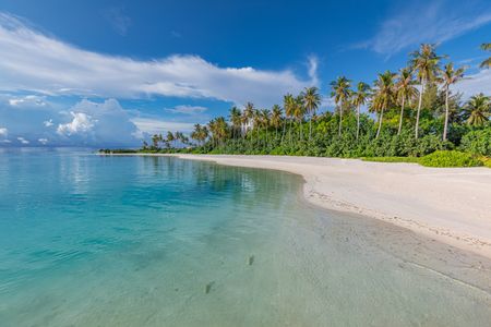 Tropical Paradise Beach — 400-piece jigsaw puzzle