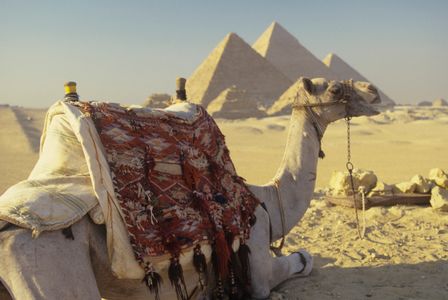 Camel and Pyramids — 300-piece jigsaw puzzle