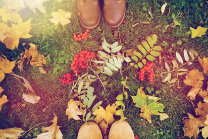 Autumn Walk Adventures — 300-piece jigsaw puzzle