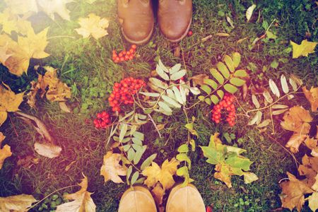 Autumn Walk Adventures — 300-piece jigsaw puzzle