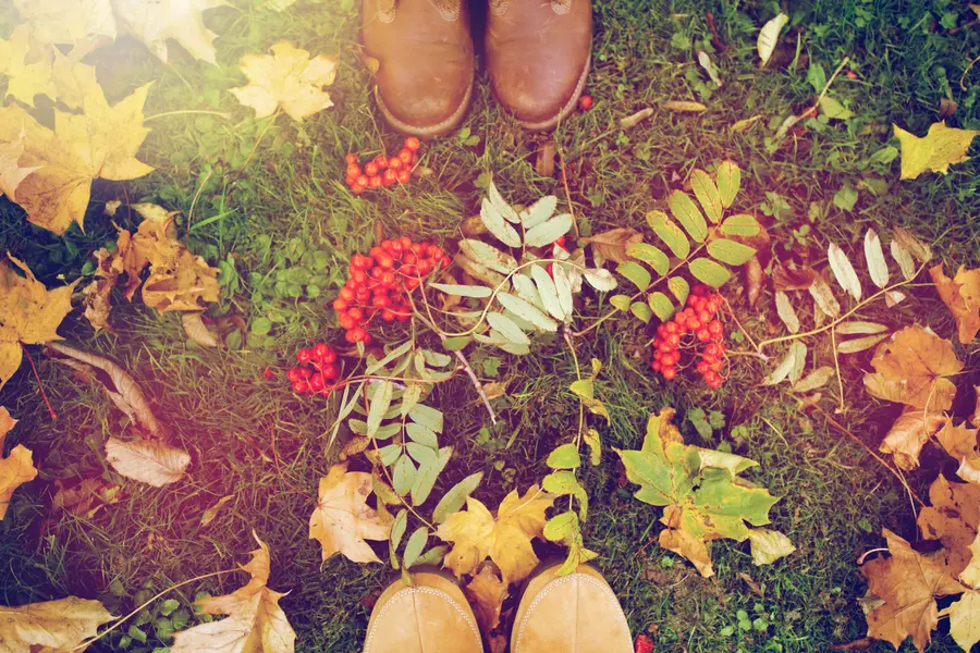 Autumn Walk Adventures — 300-piece jigsaw puzzle