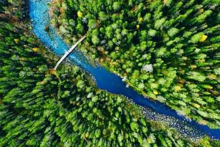 River Through Lush Forest — 150-piece jigsaw puzzle