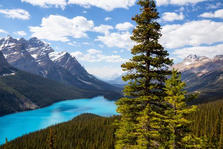 Emerald Lake Serenity — 100-piece jigsaw puzzle