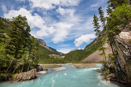 Mountain River Serenity — 100-piece jigsaw puzzle