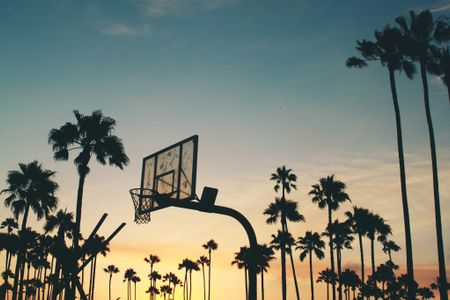 Sunset Hoops — 500-piece jigsaw puzzle