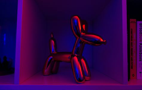 Neon Balloon Dog — 300-piece jigsaw puzzle