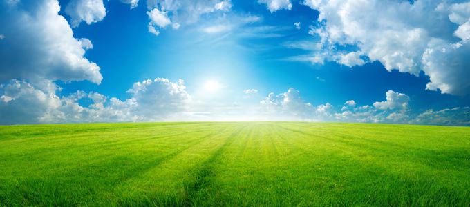Sunny Open Field — 300-piece jigsaw puzzle