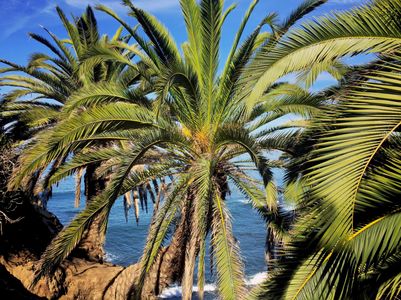 Tropical Palm Oasis — 150-piece jigsaw puzzle