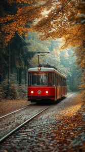 Autumn Tram Journey — 200-piece jigsaw puzzle