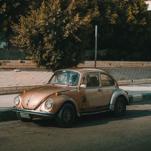 Vintage Beetle Charm — 300-piece jigsaw puzzle