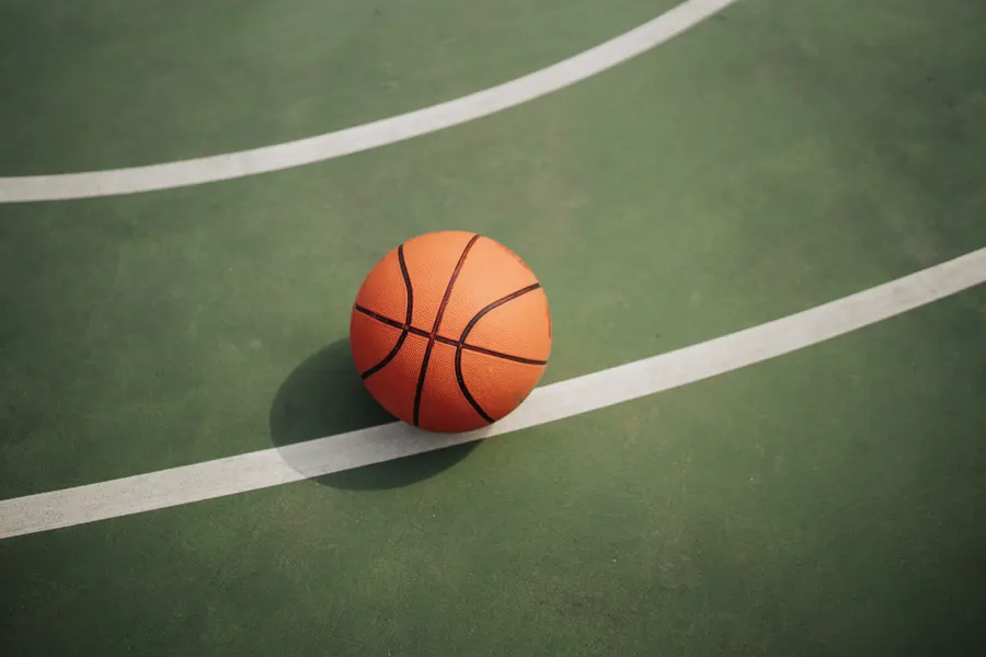 Lone Basketball Court — 300-piece jigsaw puzzle