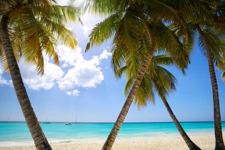 Tropical Beach Paradise — 400-piece jigsaw puzzle