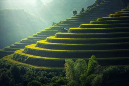 Terraced Fields at Dawn — 200-piece jigsaw puzzle