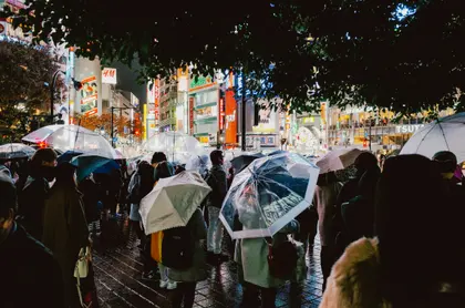 Rainy Night in Shibuya — 500-piece jigsaw puzzle