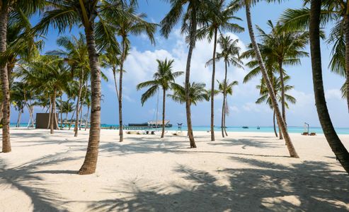 Tropical Beach Paradise — 300-piece jigsaw puzzle