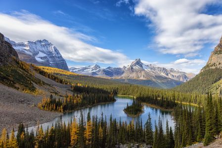 Majestic Mountain Valley — 100-piece jigsaw puzzle